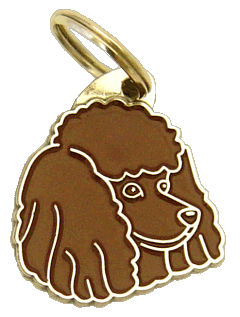 Poodle marrom <br> (placa de identificação para cães, Gravado incluído)
